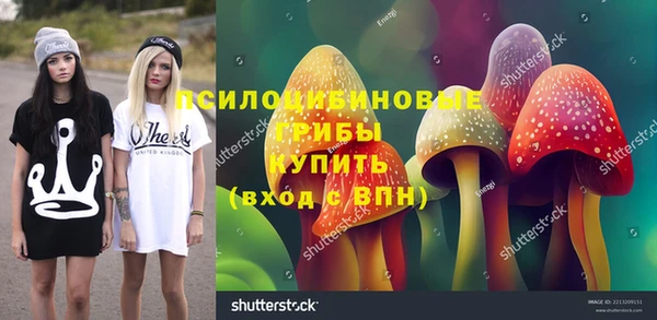 шишки Богданович